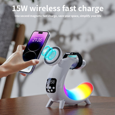 Multi-function ChargerMulti-function Charger